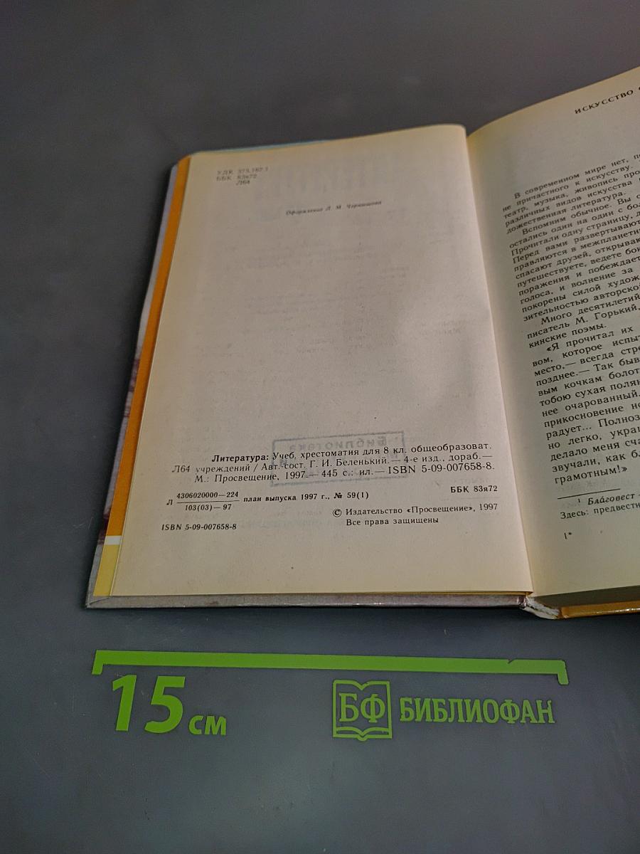 Литература 8 класс