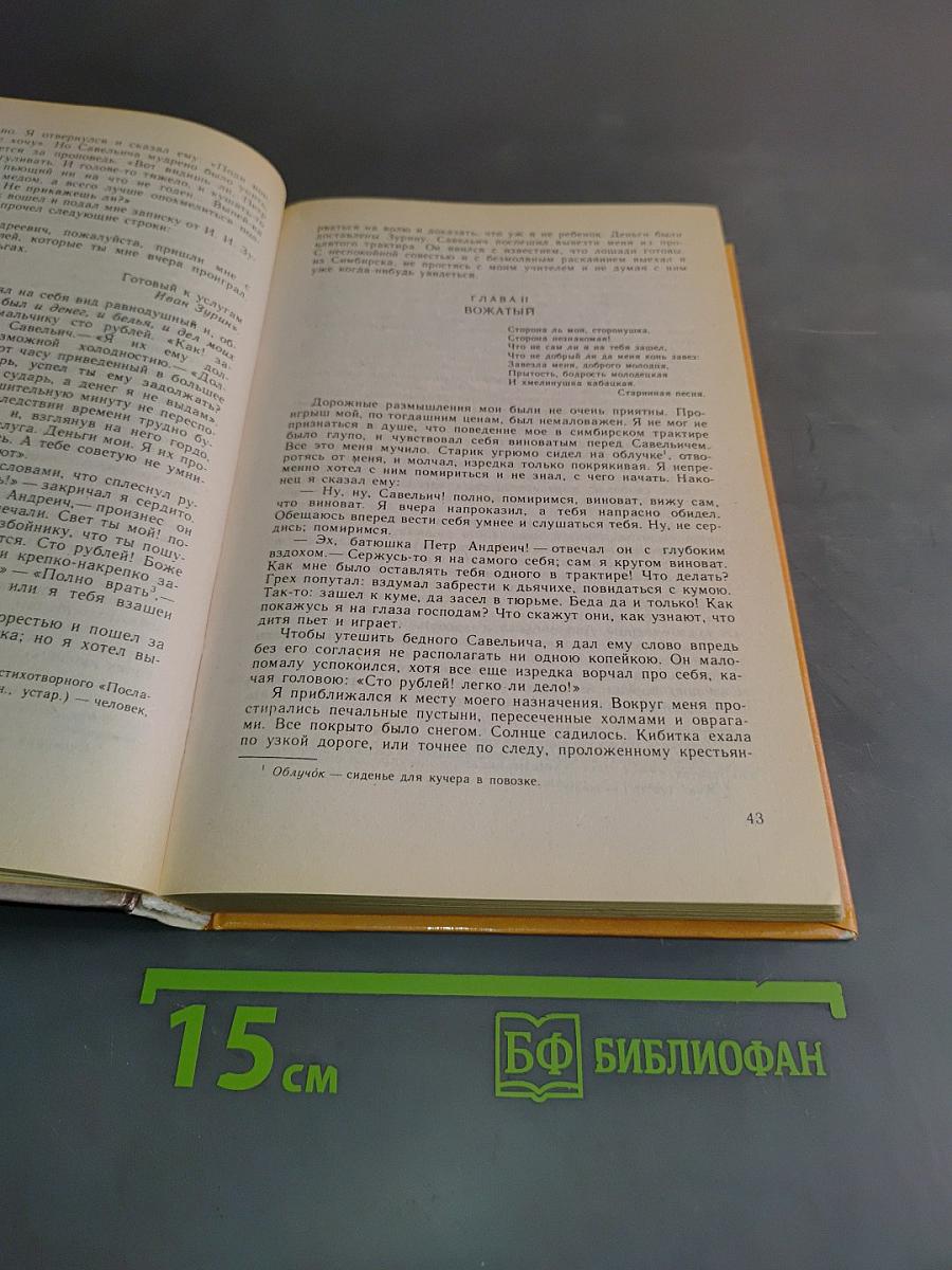 Литература 8 класс
