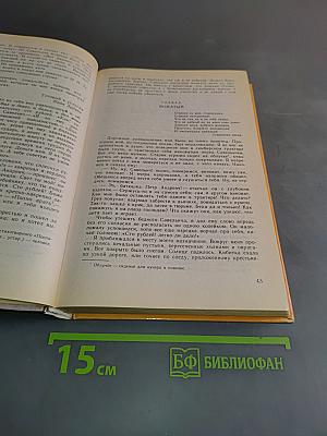 Литература 8 класс