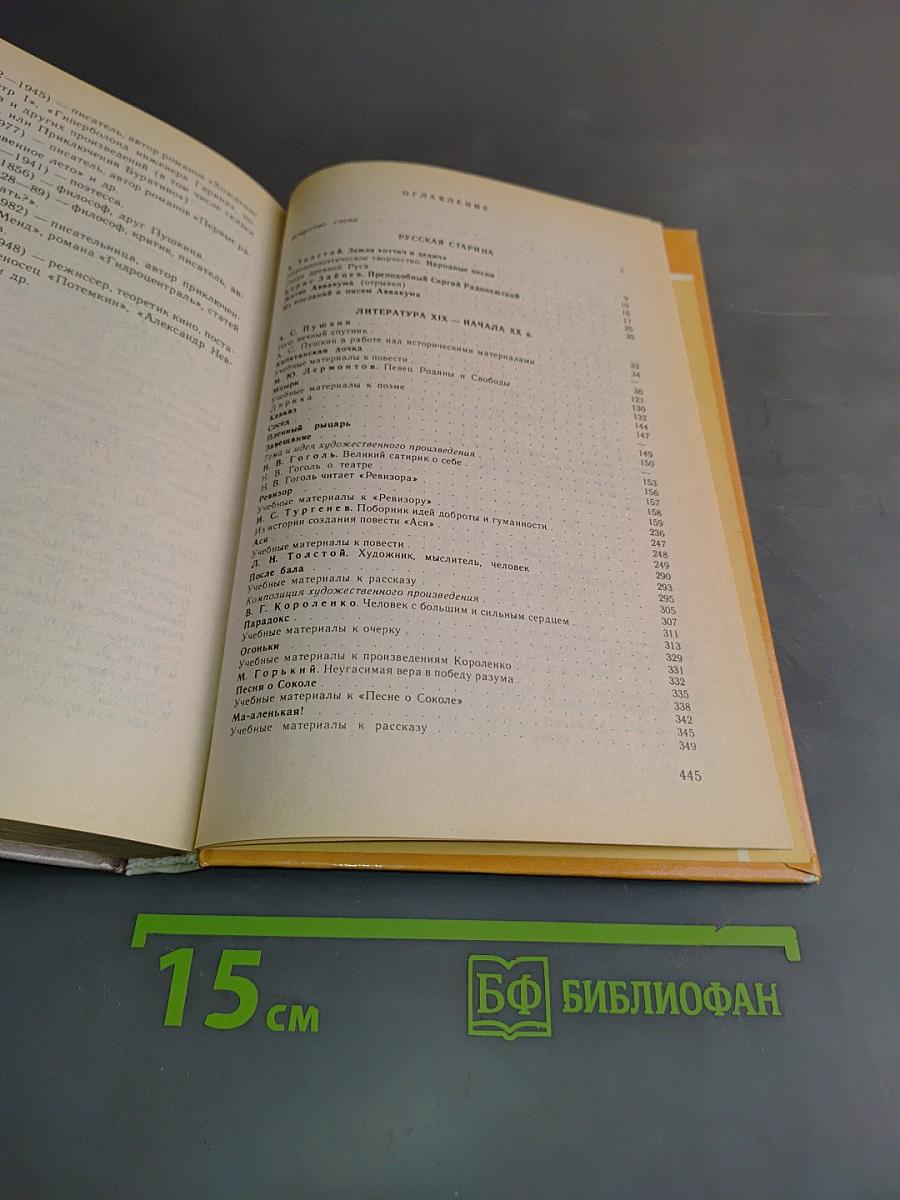 Литература 8 класс