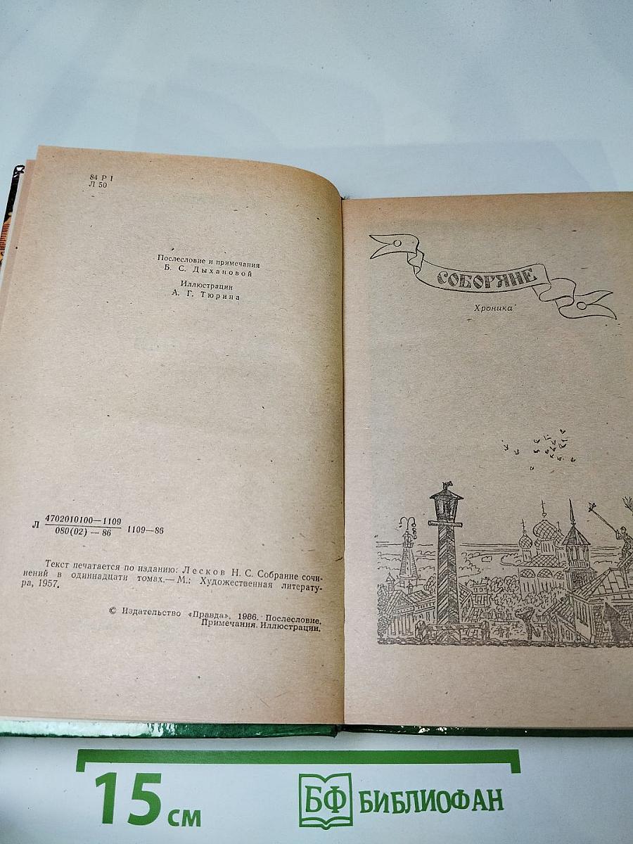 Соборяне. Захудалый род