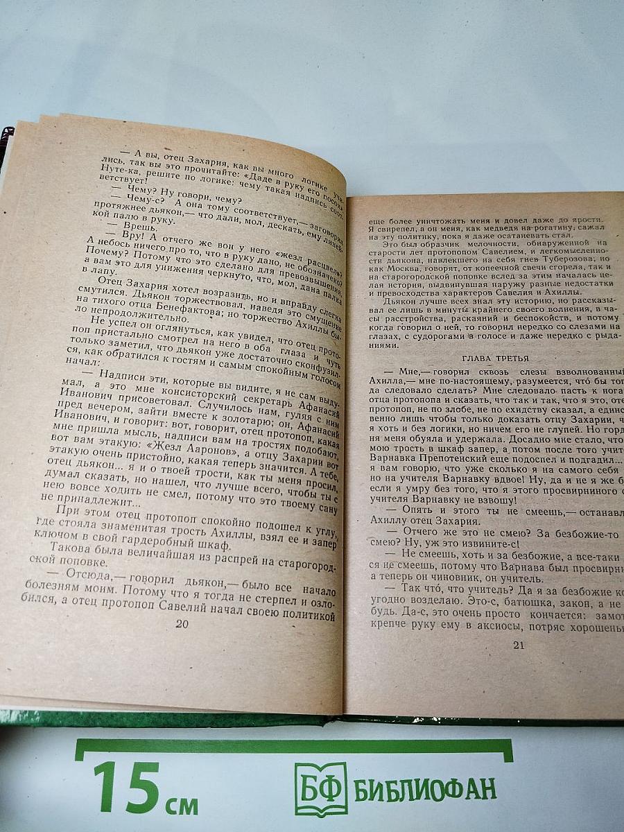 Соборяне. Захудалый род