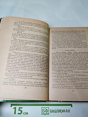 Соборяне. Захудалый род