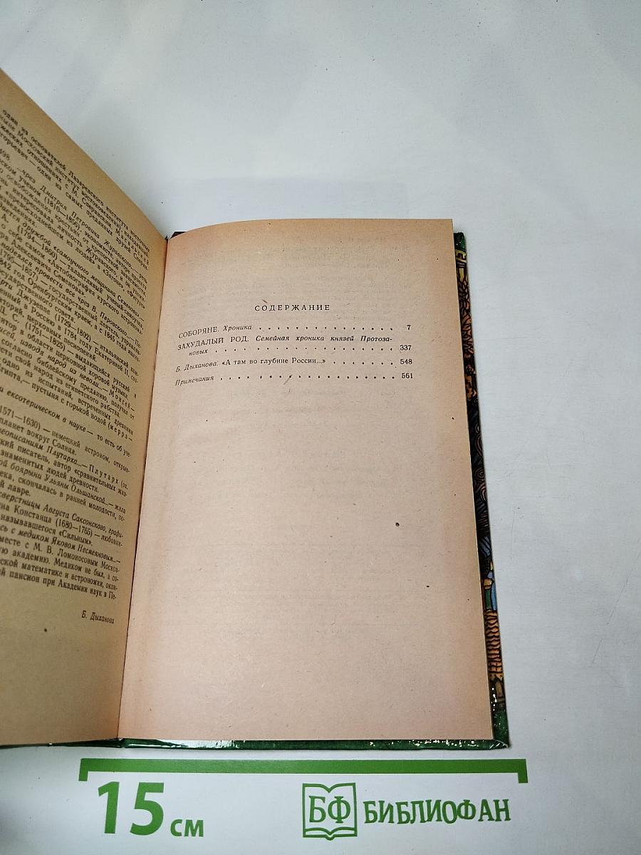 Соборяне. Захудалый род