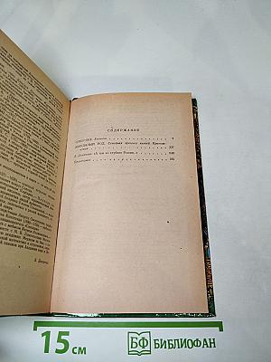 Соборяне. Захудалый род