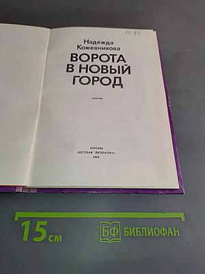 Ворота в новый город
