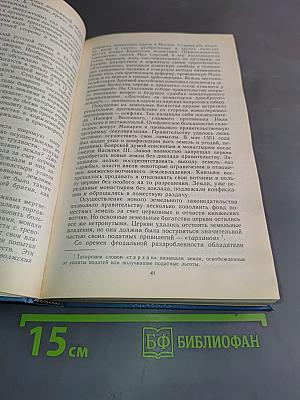 Далекий век