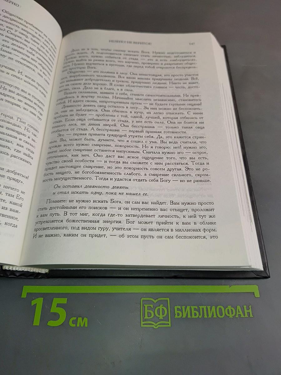 Горчичное зерно