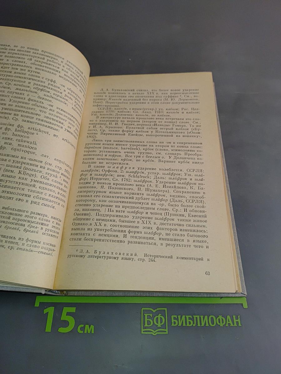Ударение в заимствованных словах в современном русском языке