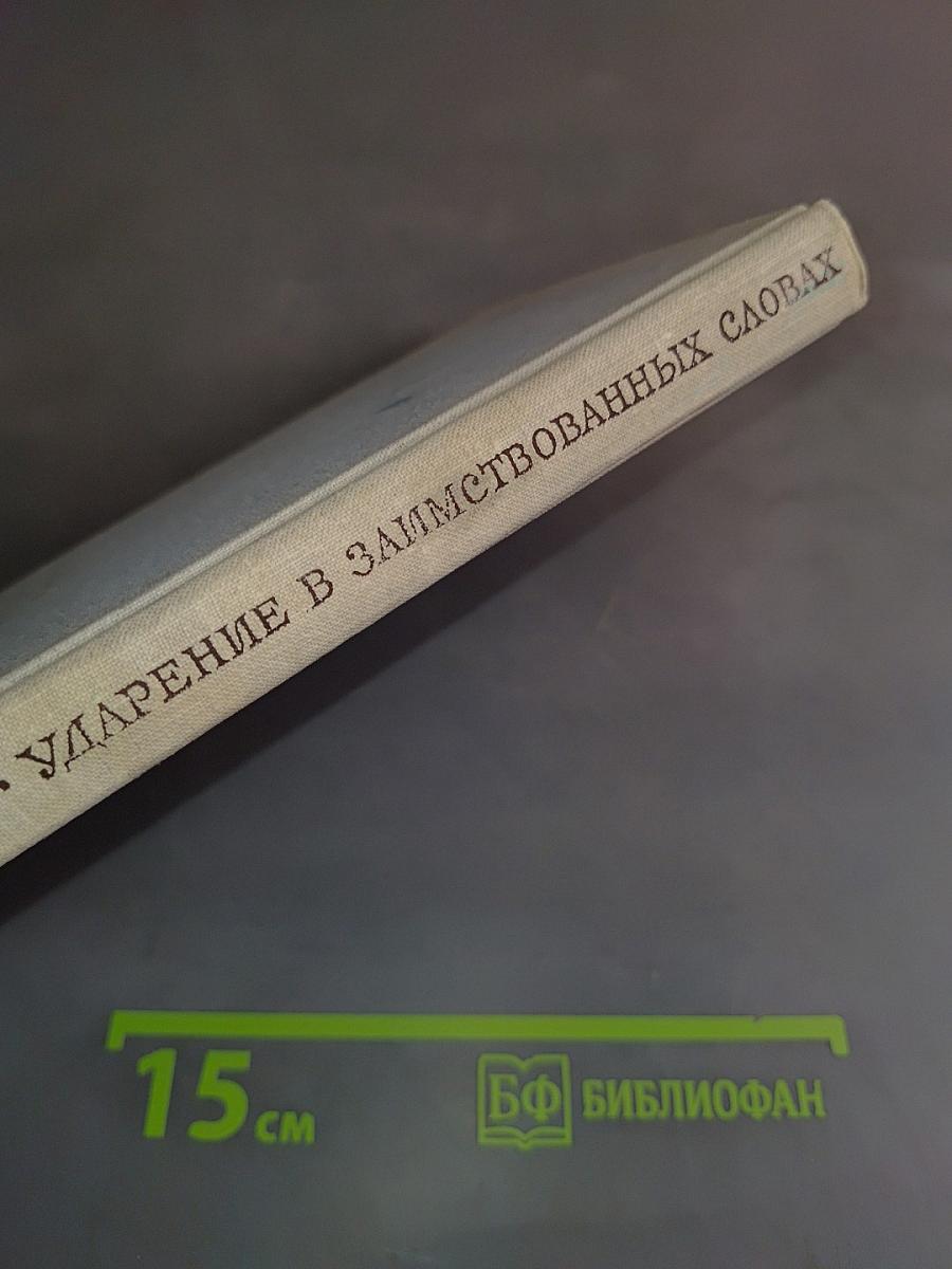 Ударение в заимствованных словах в современном русском языке