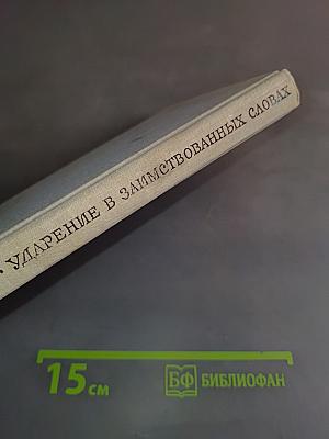Ударение в заимствованных словах в современном русском языке