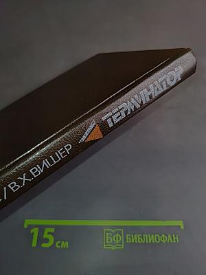 Терминатор I, Терминатор II