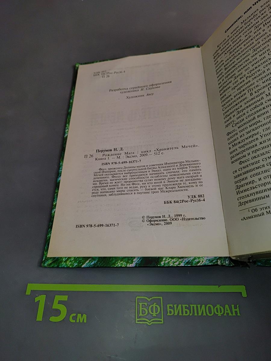 Рождение мага. Хранитель мечей. Книга первая