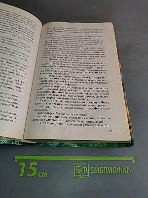 Рождение мага. Хранитель мечей. Книга первая