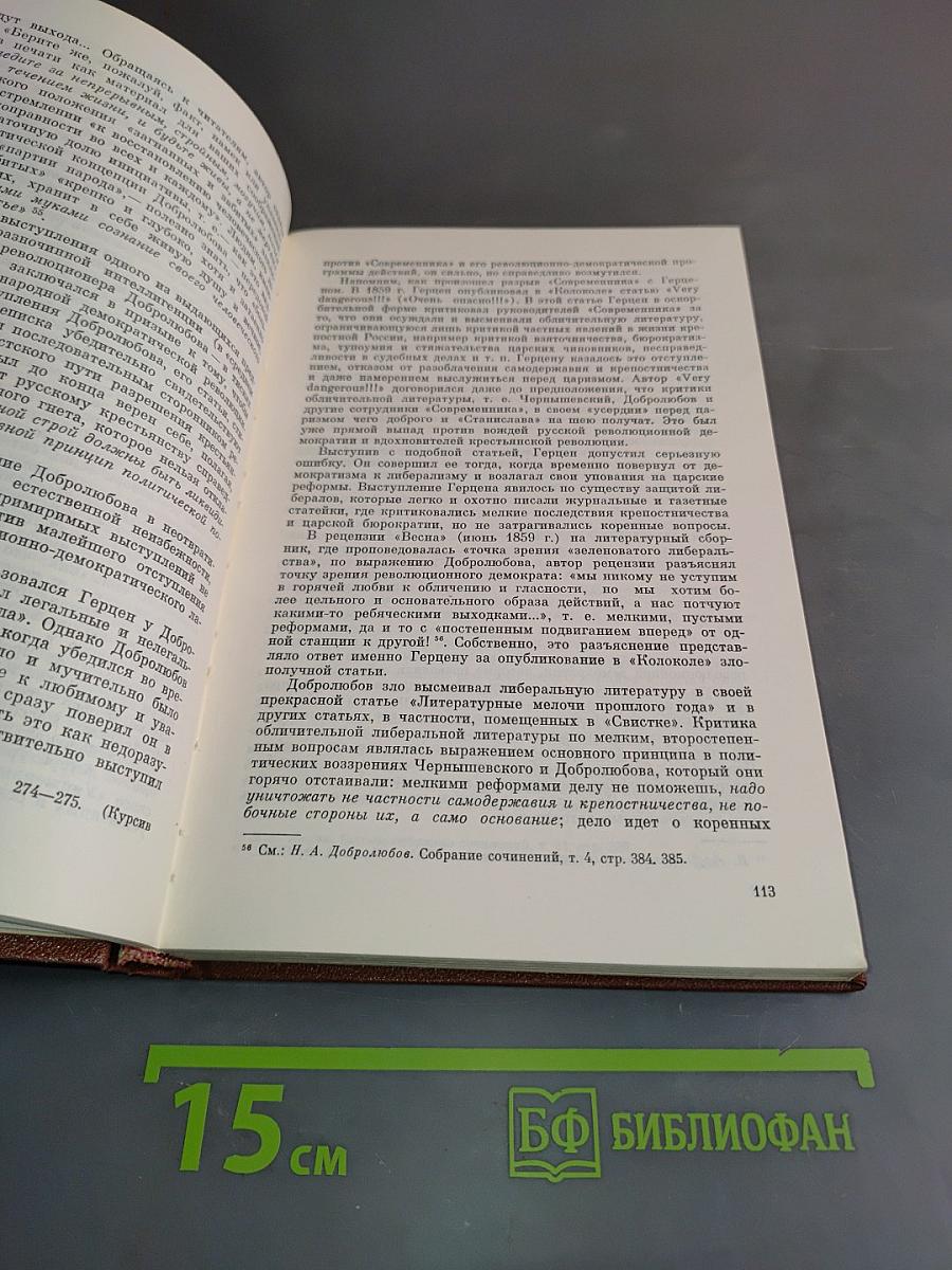 Н. А. Добролюбов. Жизнь, деятельность, мировоззрение