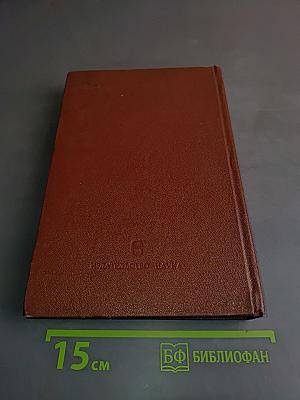 Н. А. Добролюбов. Жизнь, деятельность, мировоззрение