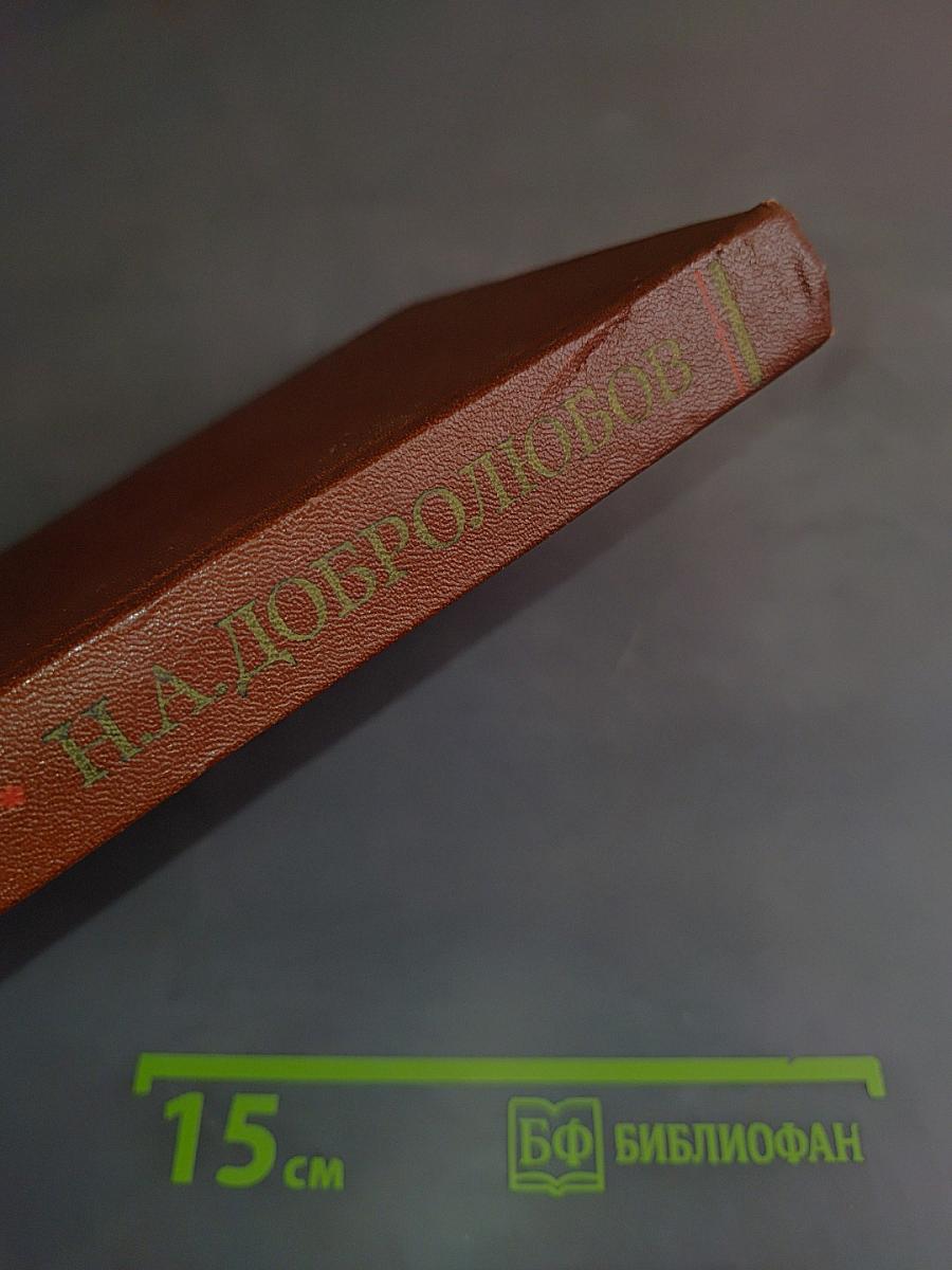 Н. А. Добролюбов. Жизнь, деятельность, мировоззрение