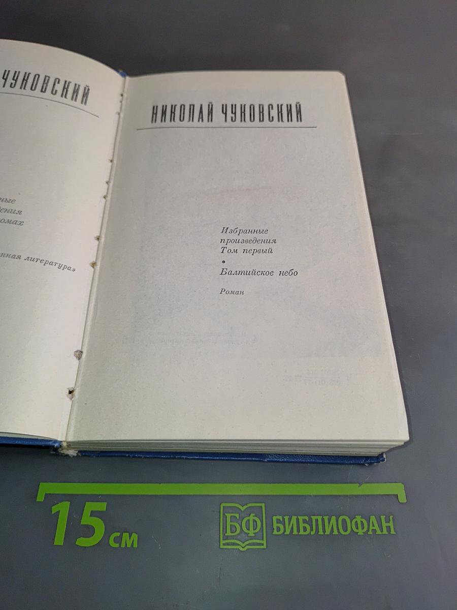 Балтийское небо. Роман