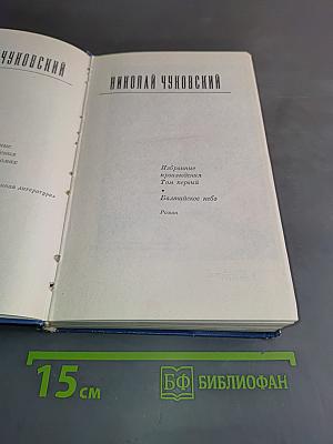 Балтийское небо. Роман