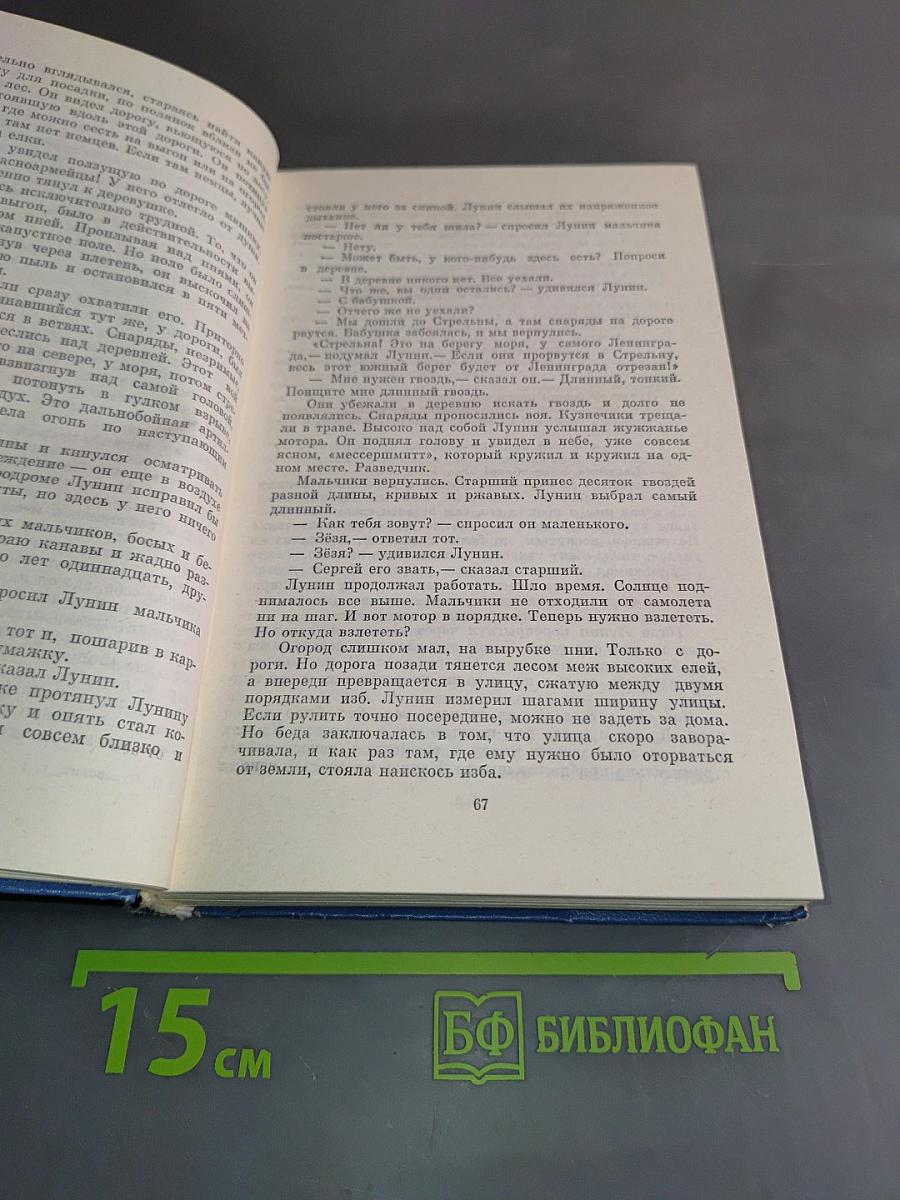 Балтийское небо. Роман
