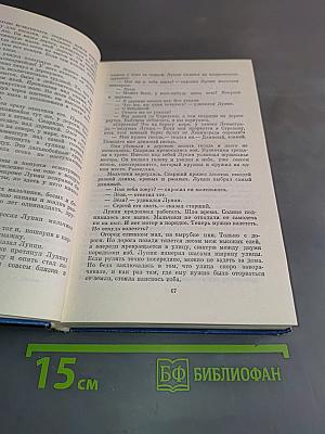 Балтийское небо. Роман
