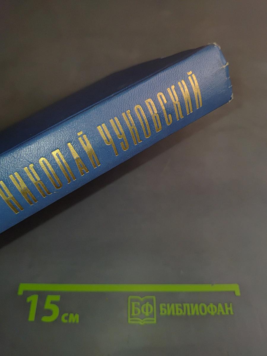 Балтийское небо. Роман