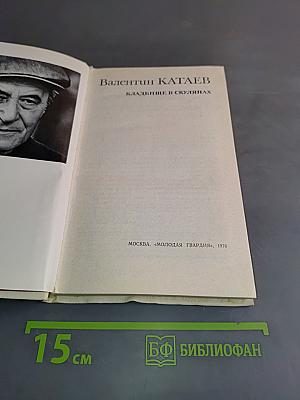 Кладбище в скулянах