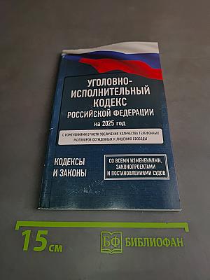 Уголовно-исполнительный кодекс Российской Федерации на 2025 год