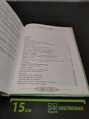 Литература 9 класс. Часть вторая