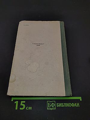 Дворянское гнездо