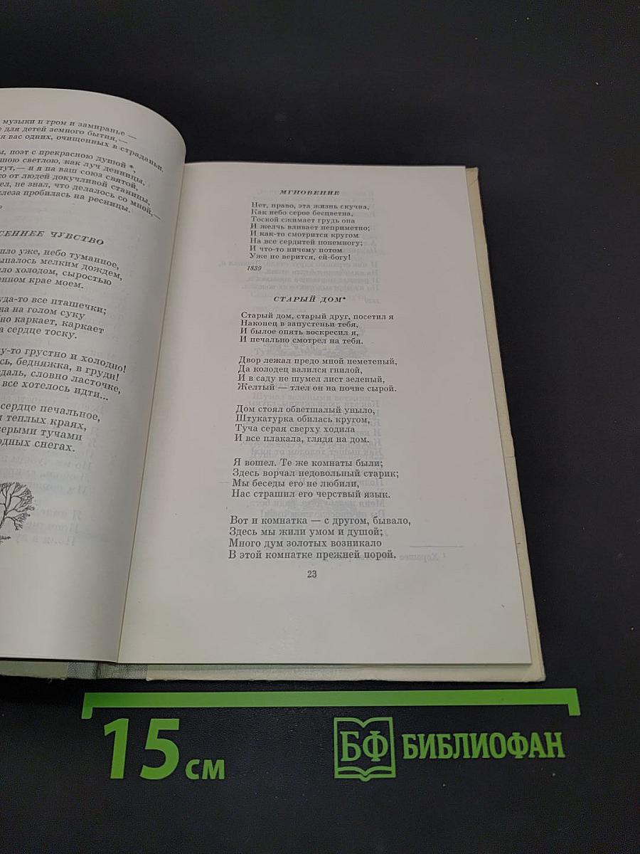Мой русский стих, живое слово...