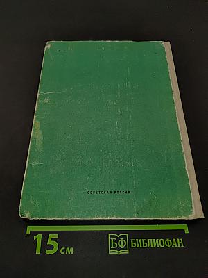 Солнечная сторона улицы