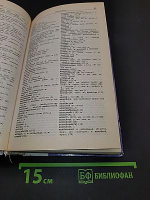 Русское правописание. Орфографический справочник