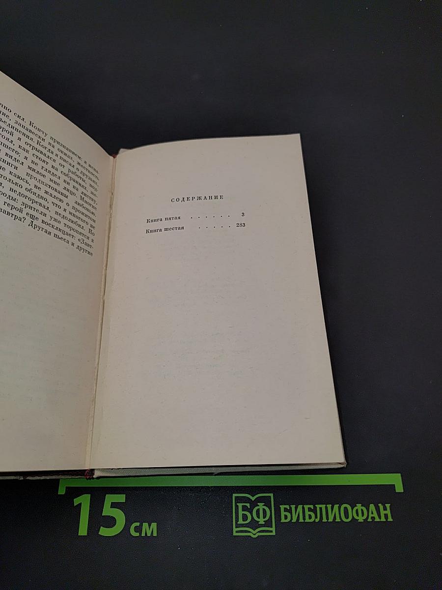 Люди, годы, жизнь. Книга пятая и шестая