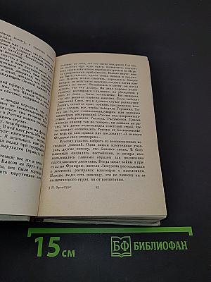 Люди, годы, жизнь. Книга пятая и шестая