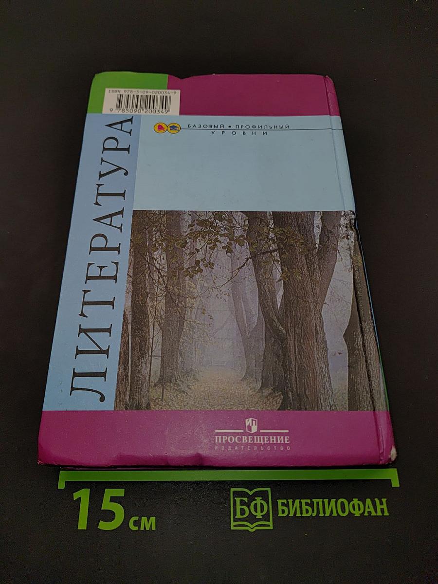 Литература. 10 класс. Учебник для общеобразовательных учреждений. Базовый и профильный уровни. В двух частях. Часть 1