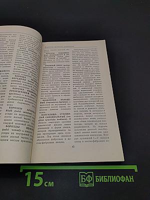 Словарь терминов и понятий по анатомии человека