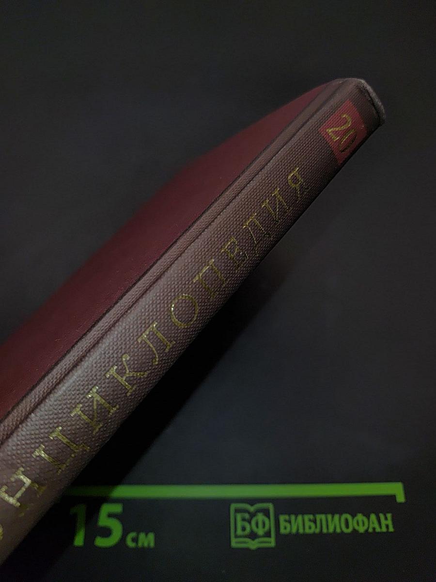 Новая иллюстрированная энциклопедия. Том 20. Че-Я