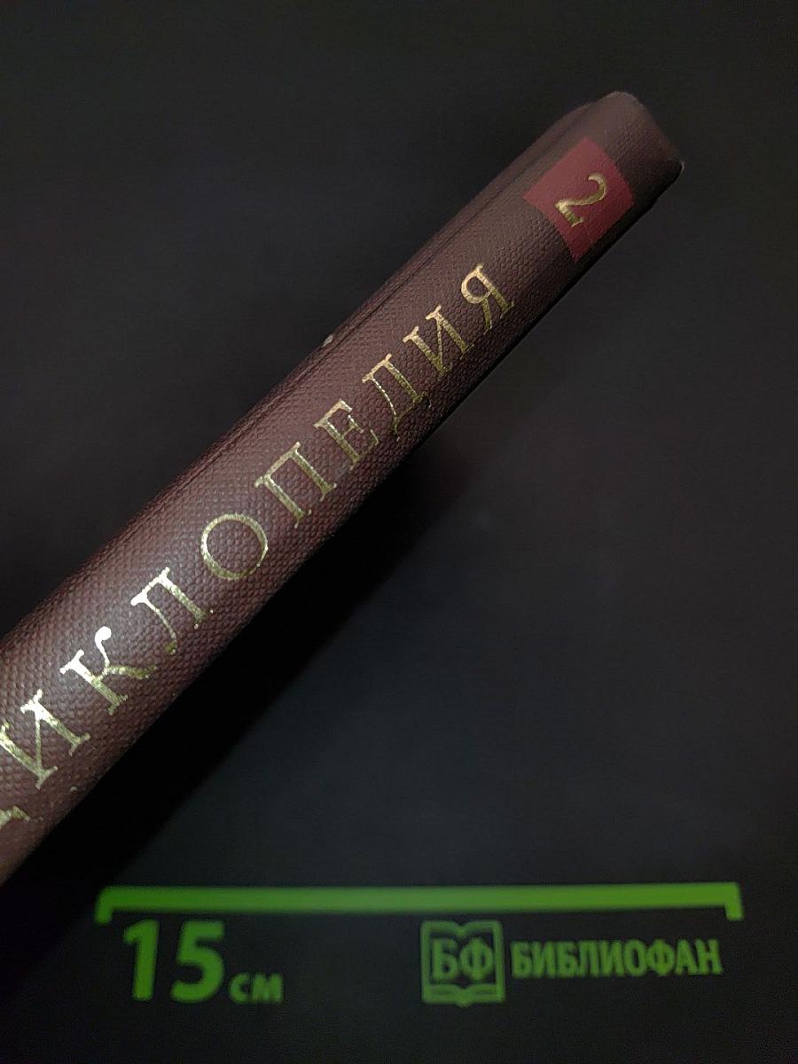 Новая иллюстрированная энциклопедия. Ар-Би. Том 2