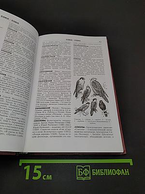 Новая иллюстрированная энциклопедия. Ск-Та