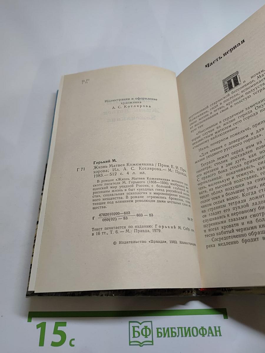 Жизнь Матвея Кожемякина