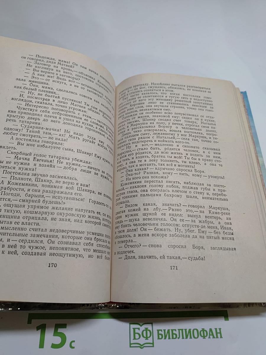 Жизнь Матвея Кожемякина