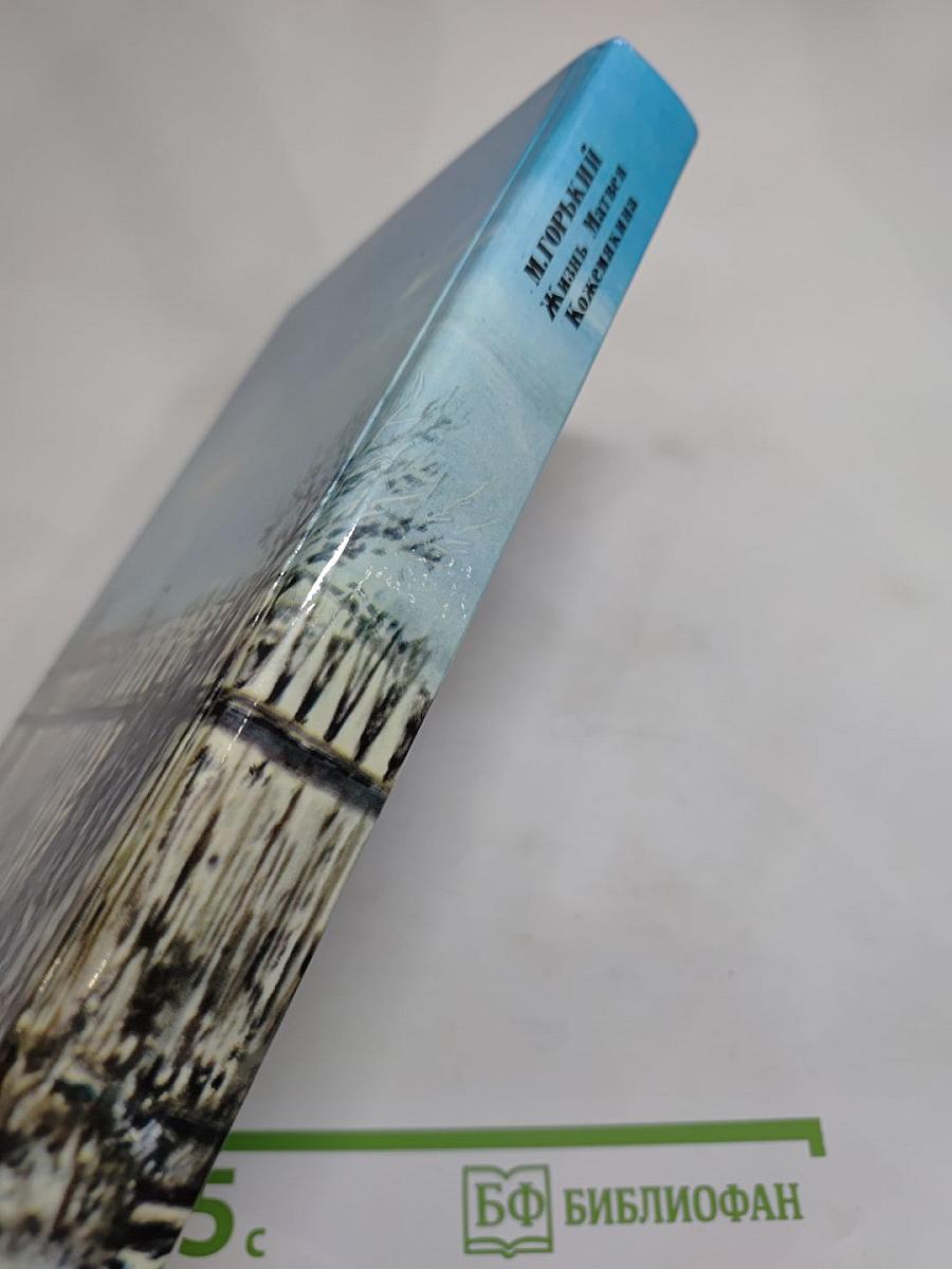 Жизнь Матвея Кожемякина