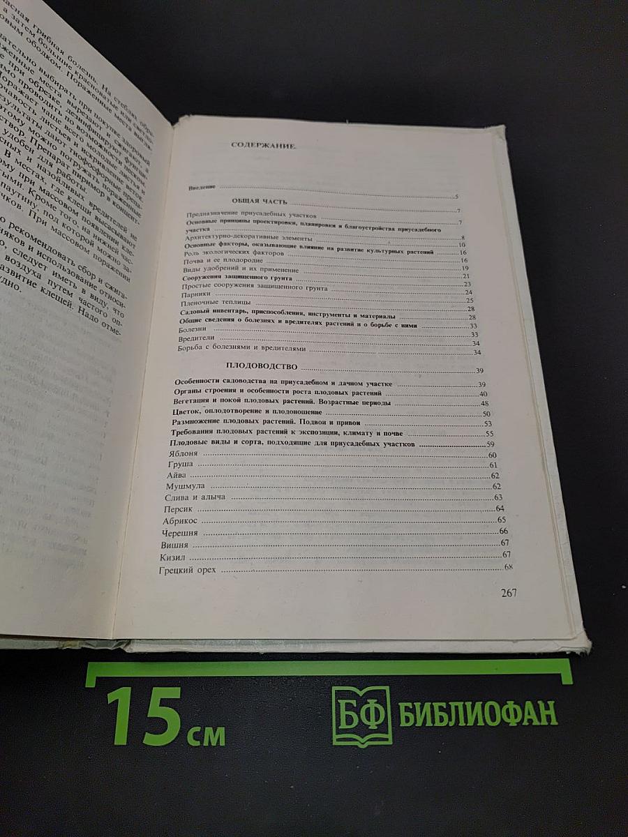 Приусадебный сад