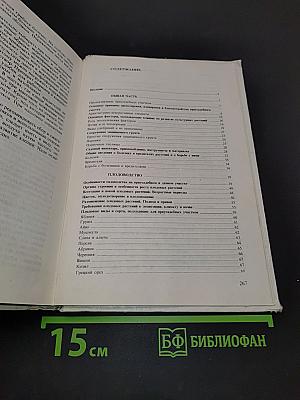 Приусадебный сад