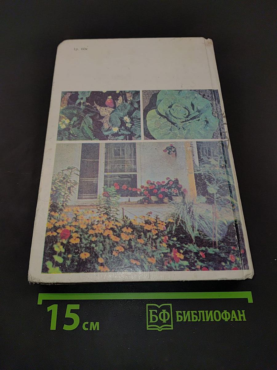 Приусадебный сад