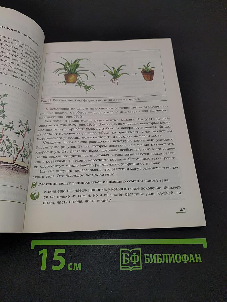 Биология 5-6 классы