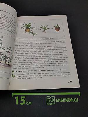 Биология 5-6 классы