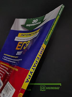 ЕГЭ. Литература. Тренировочные варианты. 30 вариантов