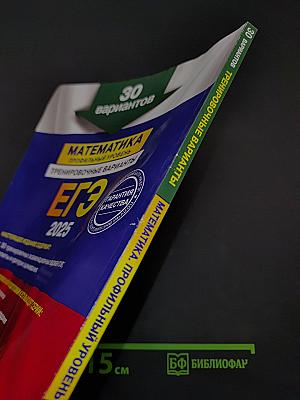 ЕГЭ 2025. Математика. Профильный уровень. Тренировочные варианты. 30 вариантов